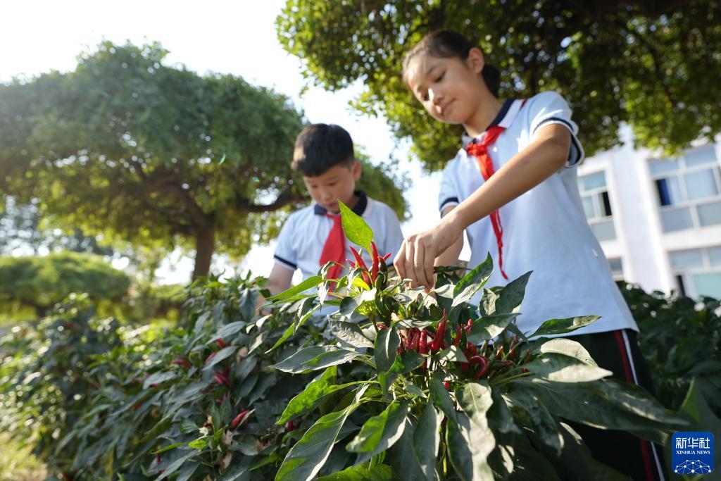 万象城娱乐开户